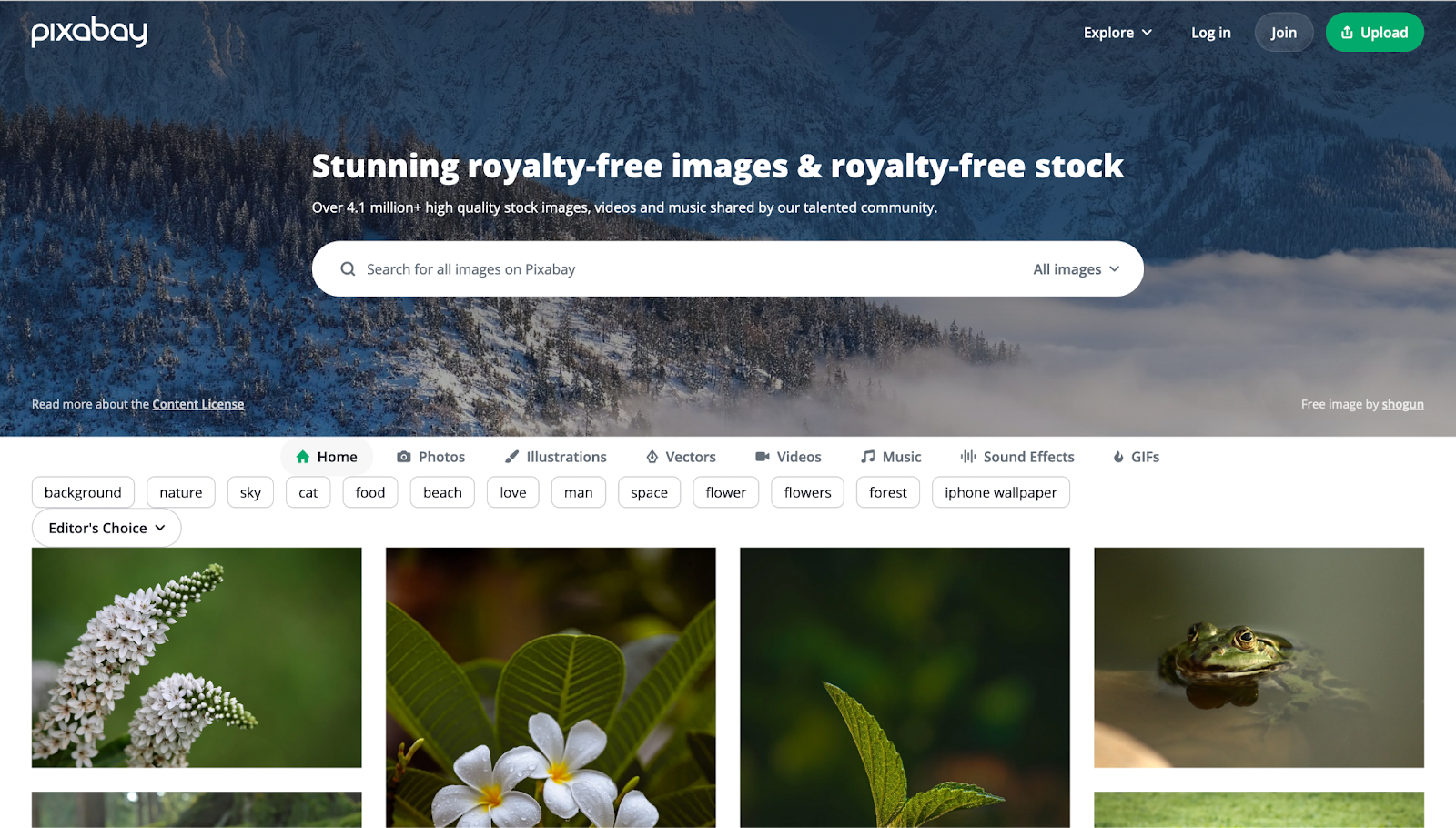 Top 25 Best Free Stock Photo Sites for Stunning Images